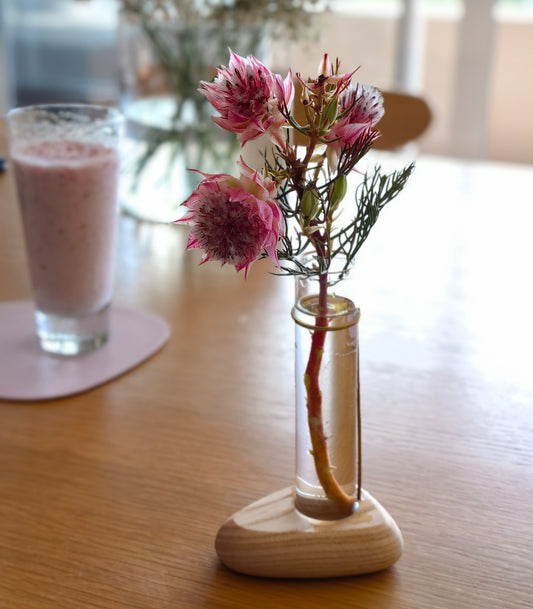 Cosymple Plant Propagation Station, Propagation Vases for Home Office Decor