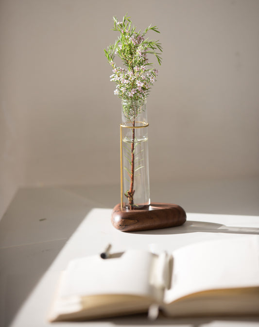 Cosymple Pebble Propagation Vase, Walnut Wood Propagation Station