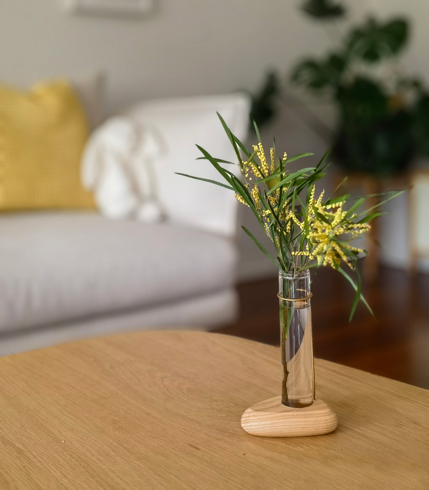 Cosymple Plant Propagation Station, Propagation Vases for Home Office Decor